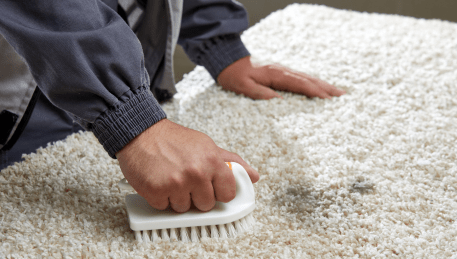 Professional Rug Cleaning Bylands